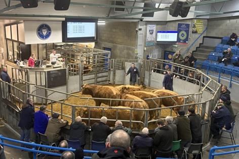 Scottish farmer co-op pays £265k in dividends after profits surge