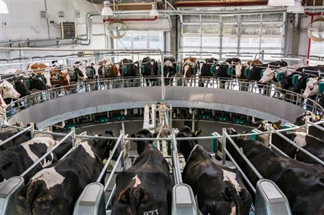 Record milk production as UK dairy output surges past 13bn litres