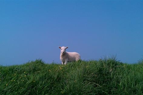 Eight Welsh farms join UK-wide push to measure farming's climate impact