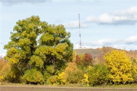 Landowners warned over telecoms tactic to drive down mast rents