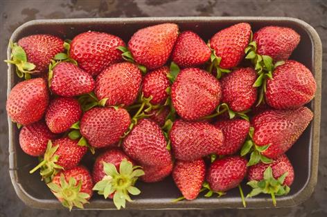 Co-op first to go 100% British as strawberry season starts early