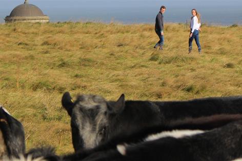 Fund opens to boost organic farmers with £25k interest-free loans