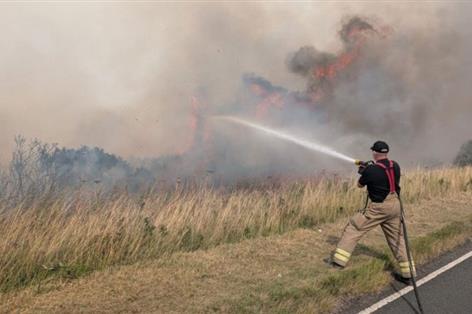 Wildfire threat sparks parliamentary inquiry as risks surge across UK