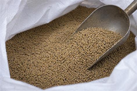 2 Sisters unveils £50m UK investment in low-carbon poultry feed shift