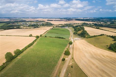 Dorset vineyard and farm hits market for £1m in rare mixed-use sale