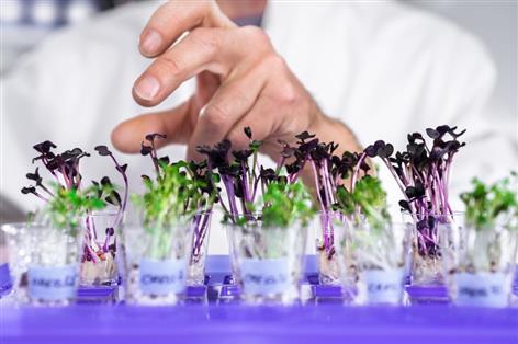 NFU Cymru warns Wales could lose ground without access to gene editing