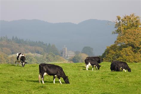 Farm emissions fall — but progress uneven across England