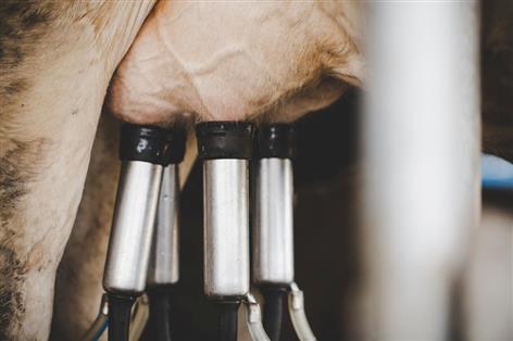 Arla raises milk price while Muller and First Milk stand firm