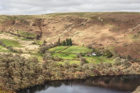Rare Elan Valley farm tenancies open for first time in years