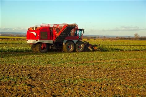 NFU warns sugar sector 'uniquely exposed' to global market shocks