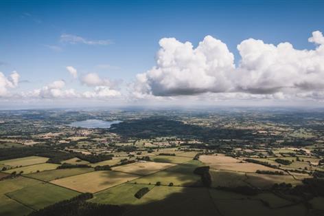 Farm leaders call on councils and Senedd to back British agriculture