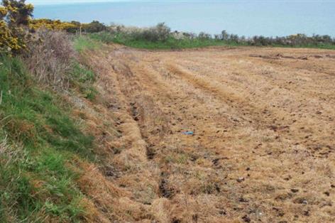 Farm fined more than £19,000 over damage to protected Welsh wildlife site