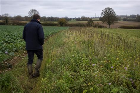 Northern Ireland farmers set for expanded Farming with Nature support
