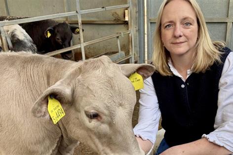 Defra tightens waste carrier checks after cow approved for permit