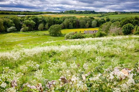 Farms must work with nature to survive, report warns