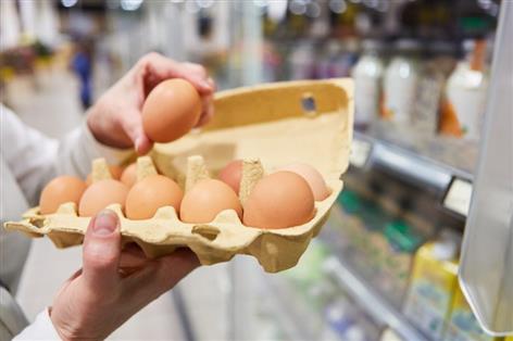 Food price controls could heap pressure on British farms, industry warns