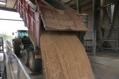 AF Group and Camgrain launch partnership to boost grain returns