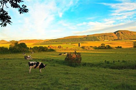 Gillian Martin appointed Scotland's new rural affairs secretary