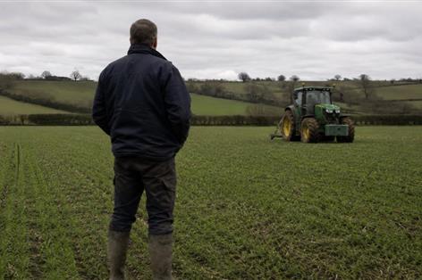 UK food supply 'in trouble' as farm incomes squeezed, group warns