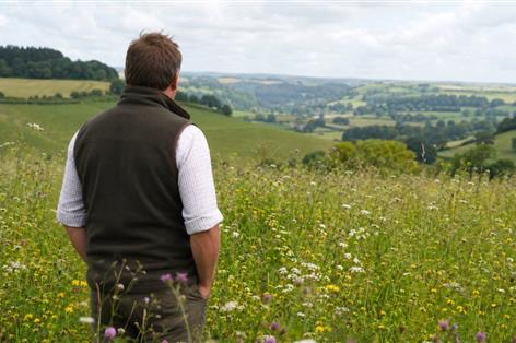 Farmers to help deliver £30m wildlife habitat fund