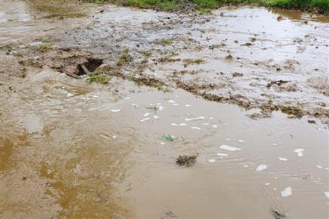 Repeat slurry pollution costs Devon farm nearly £20,000