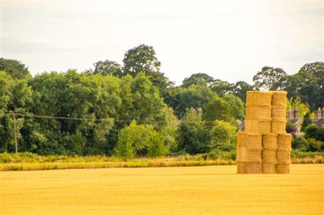 Closing date nears for postgraduate farming bursary
