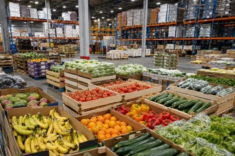 Fresh produce sector warns UK cannot 'grow its way out' of food security crisis