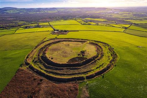 Cornish moorland gains nature reserve status in boost for grazing and wildlife