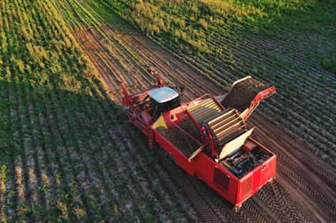 Potato growers face viability test as costs and contract prices bite