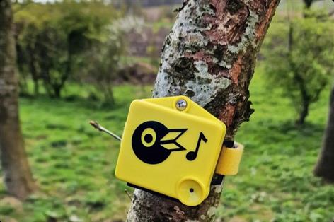 Birdsong technology used to track wildlife on poultry and pig farms