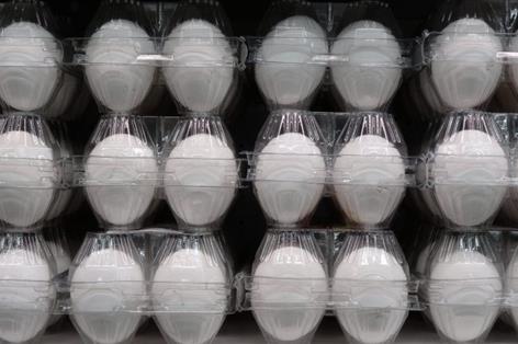 Retailers split over white and brown egg future