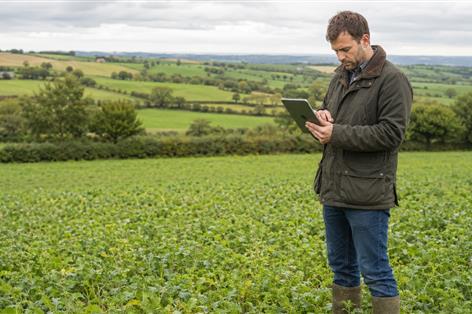 New calculator helps farmers see SFI impact on bottom line