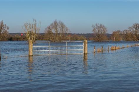 Government announces £50m flood package for Somerset farms