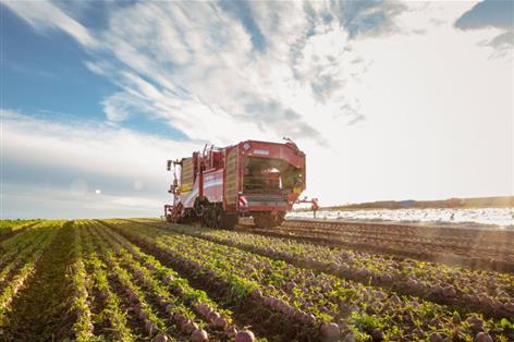 Scottish veg grower secures £10m expansion boost