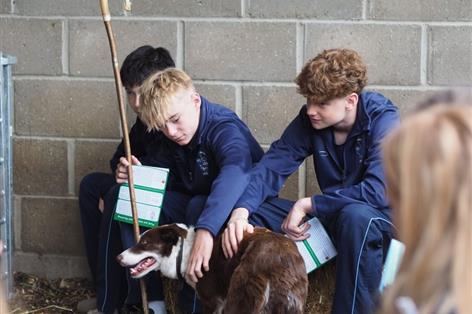Farming careers brought to life for more than 500 Suffolk pupils