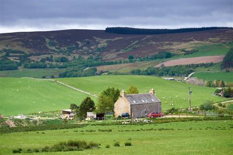 Farm wages rules putting Scotland at disadvantage, union warns
