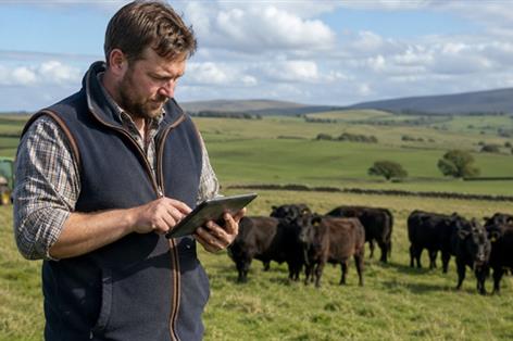 Researchers seek farmer input on AI and net zero tools