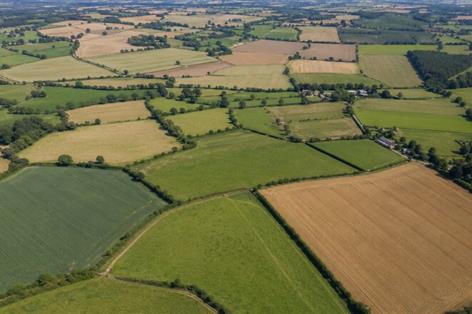 Check RPA records now or risk SFI26 delays, farmers told