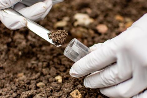 Natural bacteria may protect crops from rising salinity threat