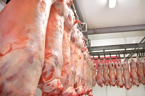 Pre-stun halal scheme aims to strengthen UK sheep meat trade