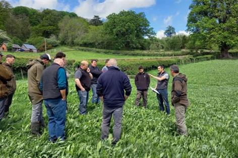 Welsh farming groups offered £12,000 for on-farm trials