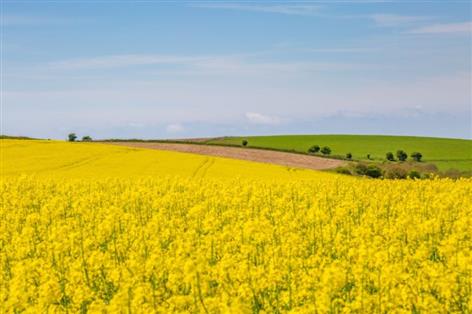 Farmers sought for Defra-funded crop trials