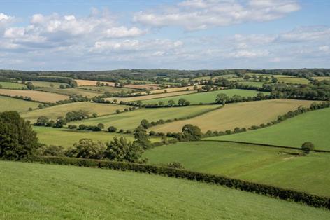 Farmers urged to act as SFI26 budget hits halfway point