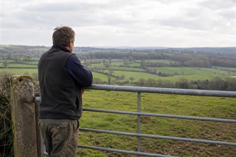 Farming Roadmap should trigger serious business review, advisers say