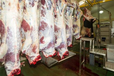 NFU urges action as small abattoirs disappear from rural Britain