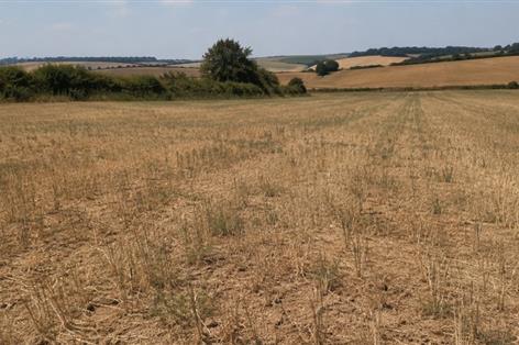 Climate impacts blamed as UK food self-sufficiency drops to 60%