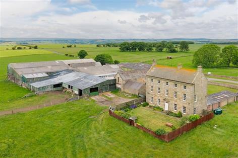 Renowned Northumberland herdsman's farm comes to market for £4m