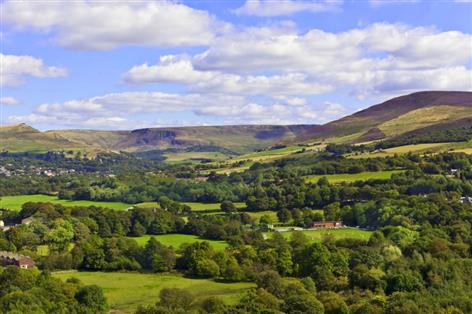 Farm sales rise to highest first-half level in almost 20 years