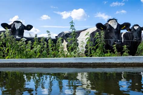 South East Water pledges 48-hour livestock support during outages