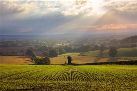 Labour told to put farming at heart of economic reset